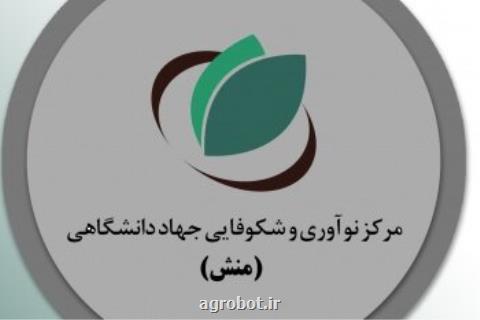 رئیس جهاد دانشگاهی بوشهر خبر داد صدور مجوز تاسیس مرکز نوآوری و شکوفایی