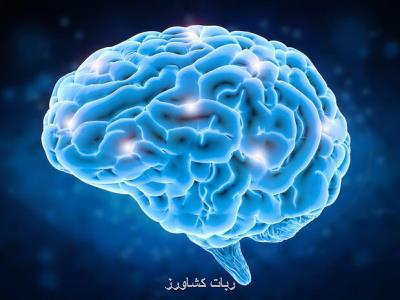 برای درمان بیماریهای مغزی؛ ایمپلنت مغزی که با تلفن همراه کنترل می شود