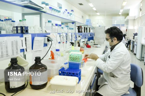 مدیر بانک مولکولی مرکز ملی ذخایر ژنتیکی و زیستی ایران عنوان کرد: ارائه خدمات تخصصی در حوزه بیولوژی مولکولی و بیوتکنولوژی